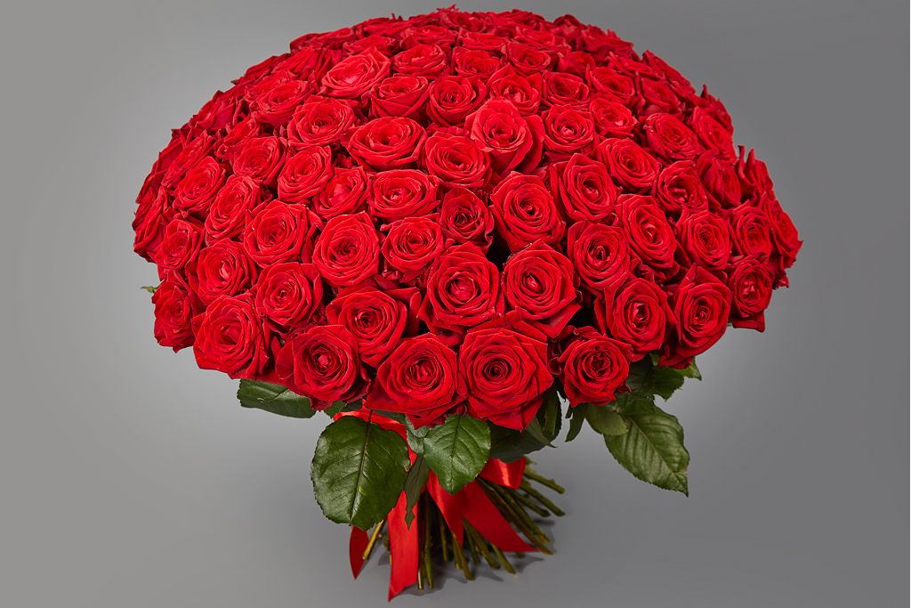 101 красная роза, 50 см