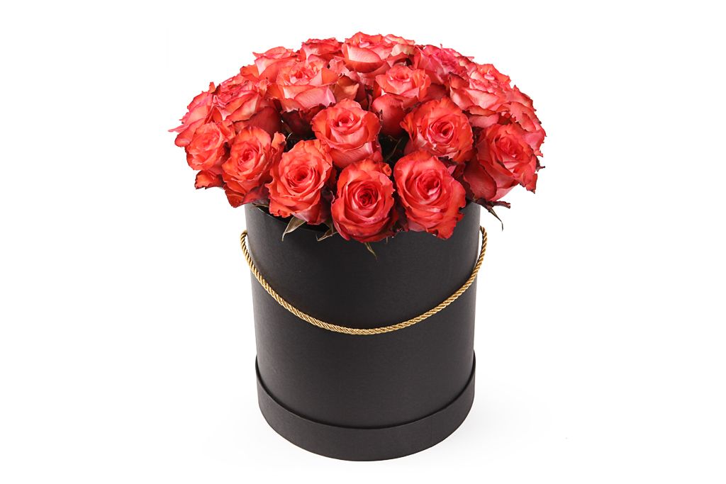 Букет 25 роз Игуана в шляпной коробке