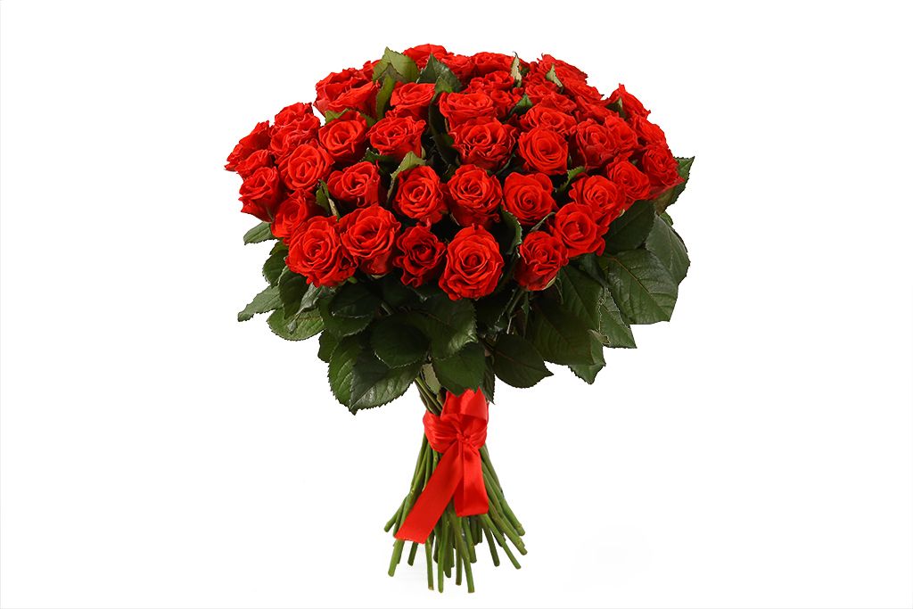 Букет 51 красная роза, 50 см